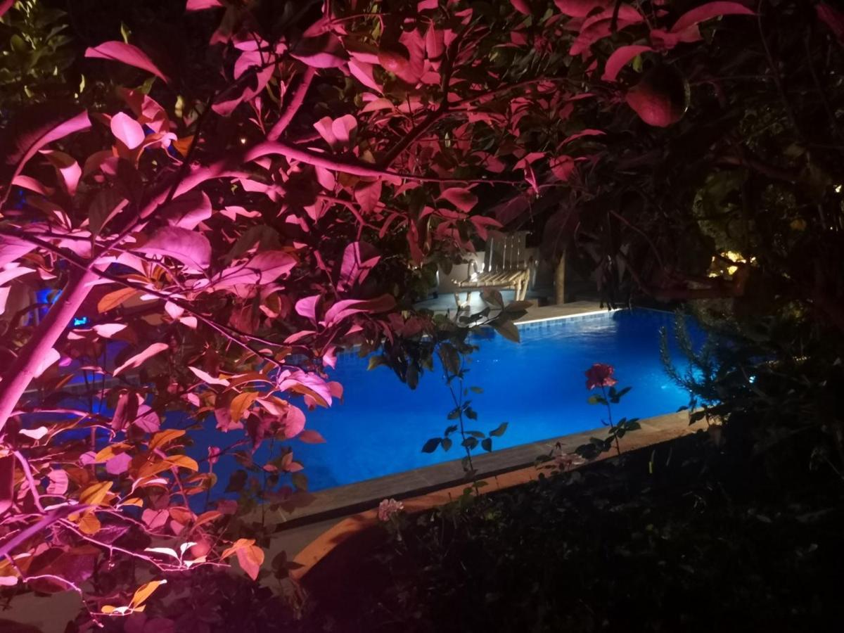 Riad Avec Terrasse Privee Et Piscine Partagee A 300M フェズ エクステリア 写真